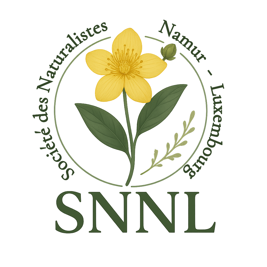 SNNL Logo